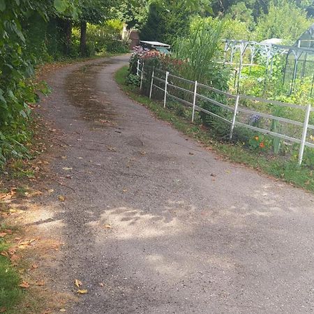 Logement Independant Attenant A Une Maison Dans Grand Jardin Retournac Dış mekan fotoğraf